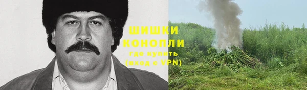 мдпв Покачи