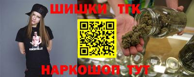 apvp Кингисепп