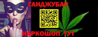 apvp Кингисепп