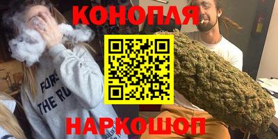 apvp Кингисепп