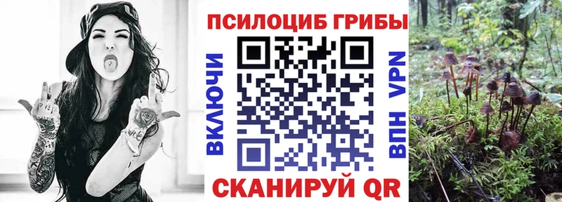 Псилоцибиновые грибы ЛСД  купить закладку  Рассказово 