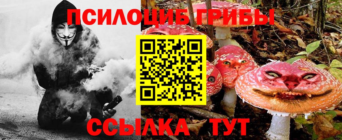 закладка  Рассказово  Галлюциногенные грибы мухоморы 