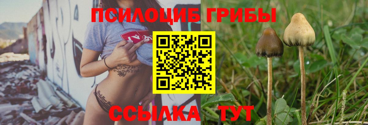 Галлюциногенные грибы MAGIC MUSHROOMS  Вход с VPN  Рассказово 