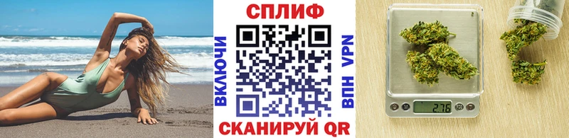 где найти   Рассказово  Марихуана тримм 